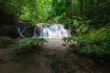 Tayland güzel şelale