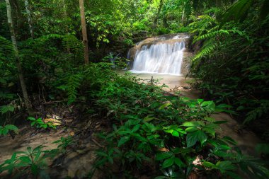 Tayland güzel şelale