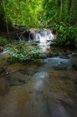 Tayland güzel şelale