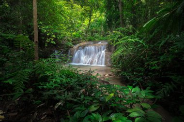 Tayland güzel şelale
