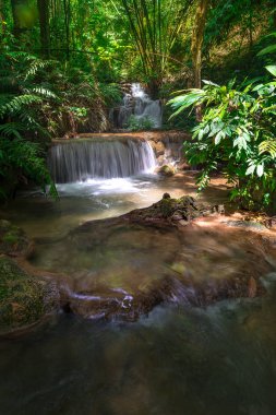 Tayland güzel şelale