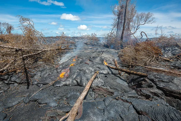 Lava destruye bosque en Hawaii — Foto de Stock