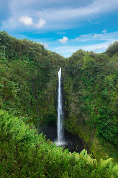 Akaka falls národní park, velký ostrov Havaj — Stock fotografie