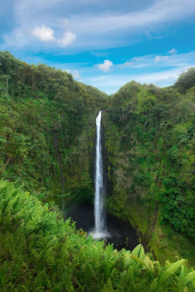 Akaka Falls State Park, Hawaii büyük ada