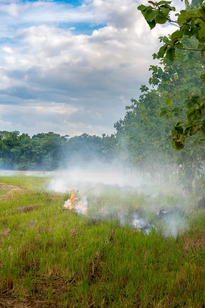 Contaminación en Tailandia por la quema de paja de arroz . — Foto de Stock