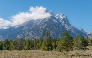 Teton aralığı Grand Teton Milli Parkı'nda
