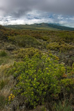 Manzara Haleakala Milli Parkı 
