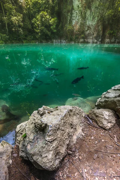 De emerald pool, Noord-Thailand — Stockfoto