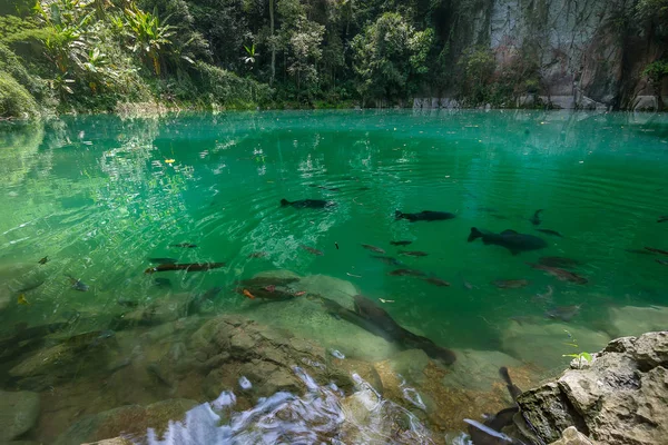 La piscine d'émeraude, nord de la Thaïlande — Photo