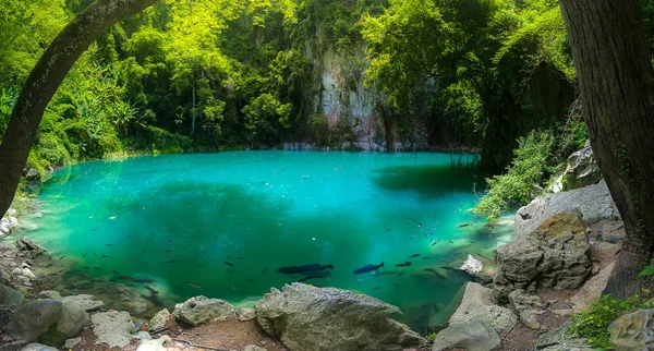 La piscina color smeraldo, Thailandia del Nord — Foto Stock