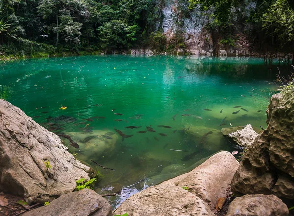 La piscine d'émeraude, nord de la Thaïlande — Photo