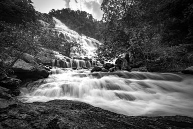 Mae Ya şelale, Chiang Mai, Tayland. Siyah ve beyaz