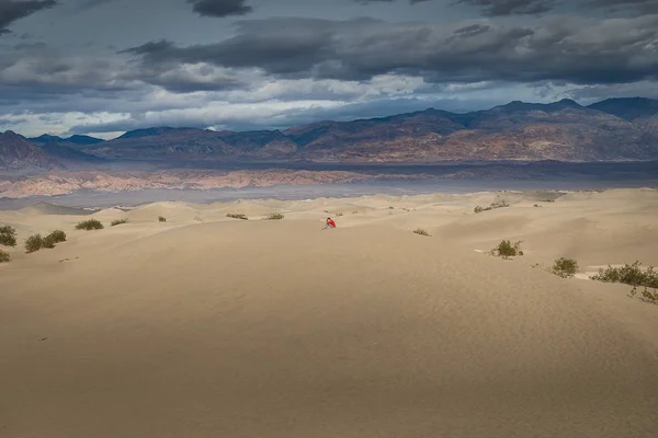 En el desierto —  Fotos de Stock