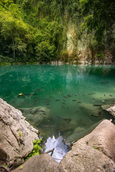 La piscine d'émeraude, nord de la Thaïlande — Photo