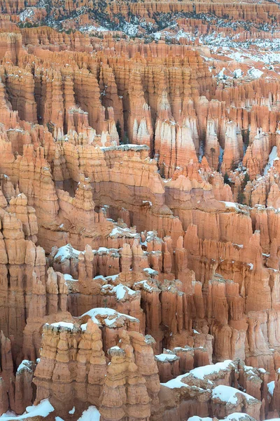 Ryce Canyon národní Park v zimě Stock Fotografie