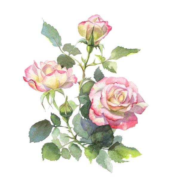 Roze Witte Rozen Knoppen Bloesems Met Hand Beschilderd Aquarelmotief Voor — Stockfoto