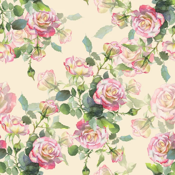 Рожеві Білі Троянди Бутони Квіти Розфарбовані Вручну Акварельний Візерунок Друку — стокове фото