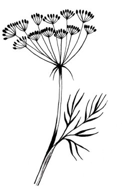 Elle çizilmiş siyah