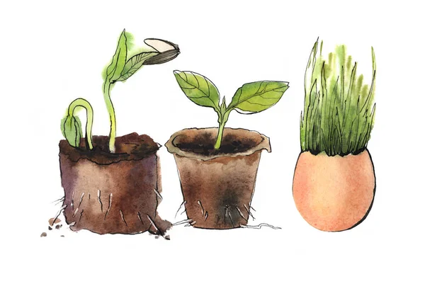 Eco-friendly set of plant seedlings — Stock Photo, Image