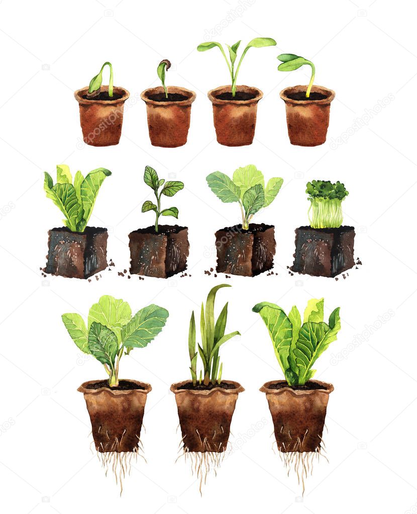 eco-friendly set of plant seedlings