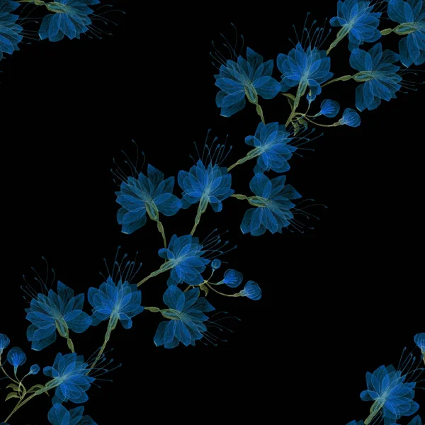 Bezešvé průhledné květiny — Stock fotografie