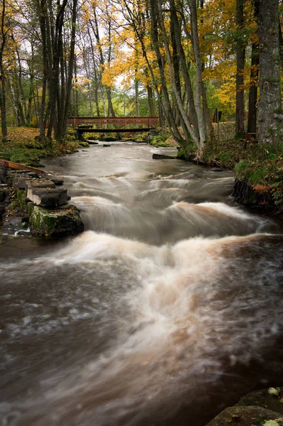 Nehir üzerinde bir köprü.