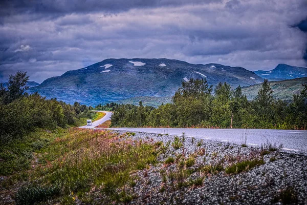 Yolda bir kampçı var..