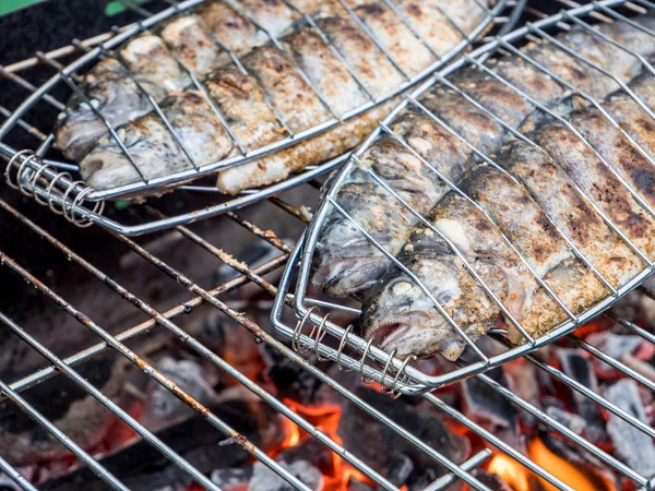 Fish roasting on the grill in the garden — 스톡 사진