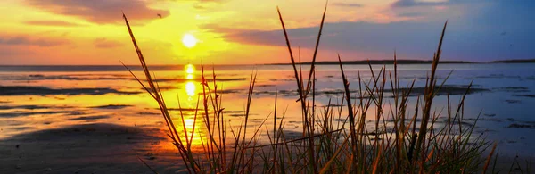 Panorama Noordzee achtergrond — Stockfoto