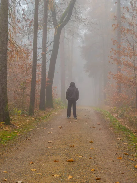 Man in the forest in fog depressions