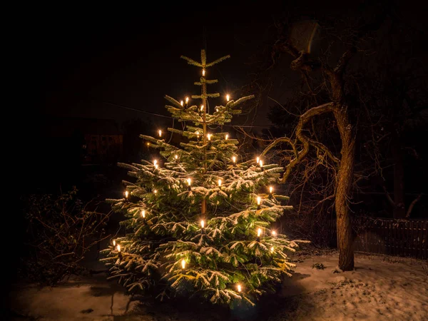Selamat Natal! Pohon Natal — Stok Foto