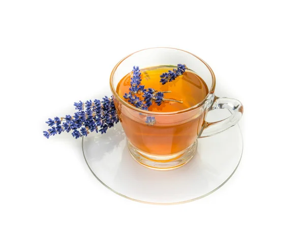 Lavender tea isolated background — 스톡 사진