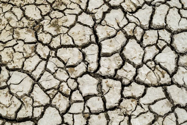 Drought climate change dryness in the soil