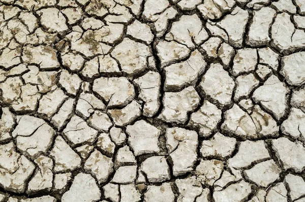 Drought climate change dryness in the soil Royalty Free Stock Photos