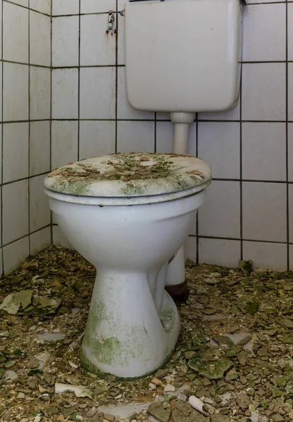 Oude Gdr toiletbeeld — Stockfoto