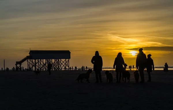 Silhouettes by the sea — Stock Photo, Image