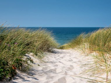 Beach off on sylt in germany clipart