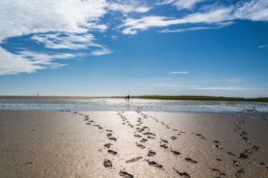 Footprints in the wadden sea clipart
