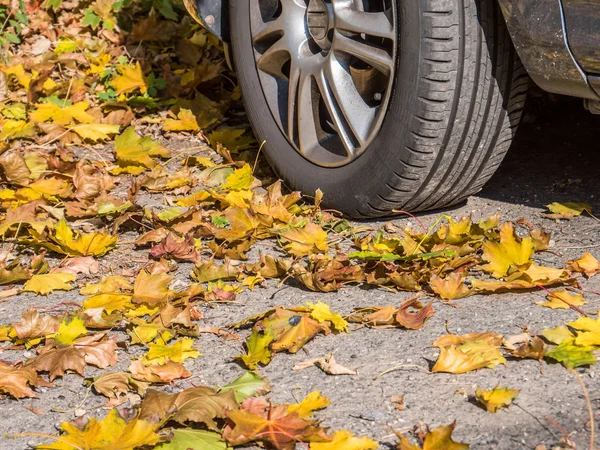 Griff auf die Straße im Herbst Hintergrund — Stockfoto