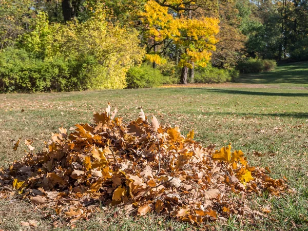 Montón de hojas en el parque Otoño —  Fotos de Stock