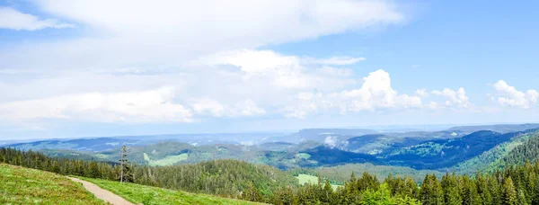 Panorama Black Forest i Tyskland — Stockfoto