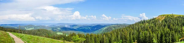 Kara Orman 'daki Feldberg panoramik manzarası — Stok fotoğraf