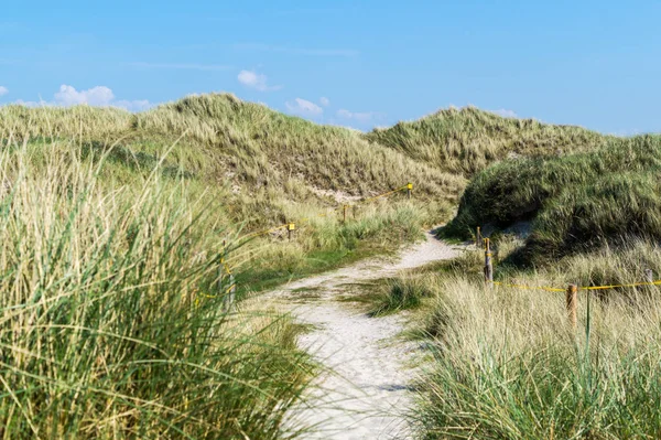 Dune landscape at the North Sea — Stock Photo, Image