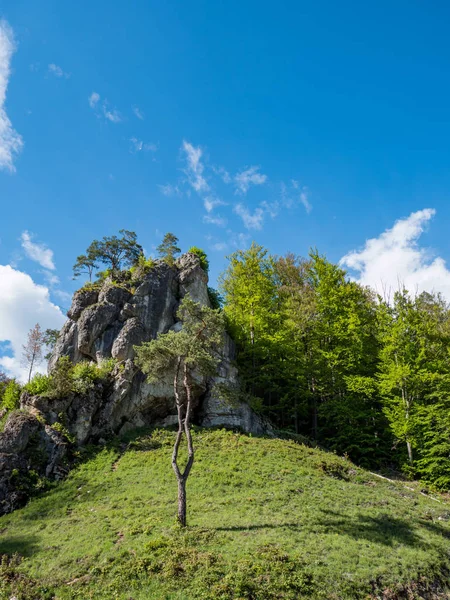 Escalade rocheuse dans la vallée de Pegnitz Allemagne — Photo