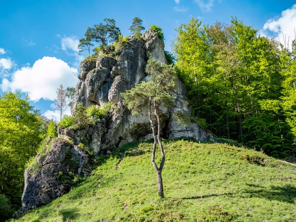 Escalade dans la vallée de Pegnitz Suisse Franconienne — Photo