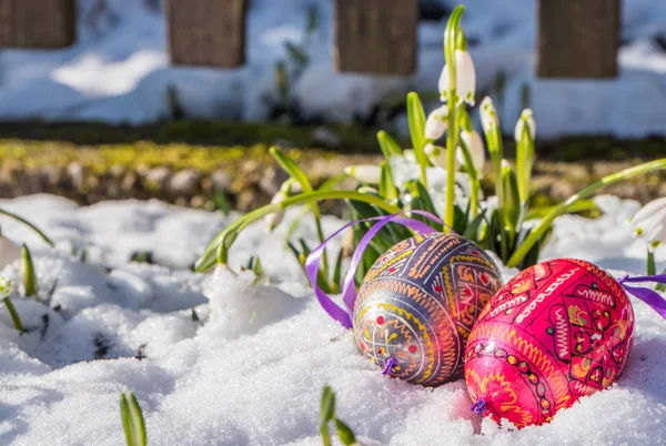 春天里有雪的复活节 — 图库照片