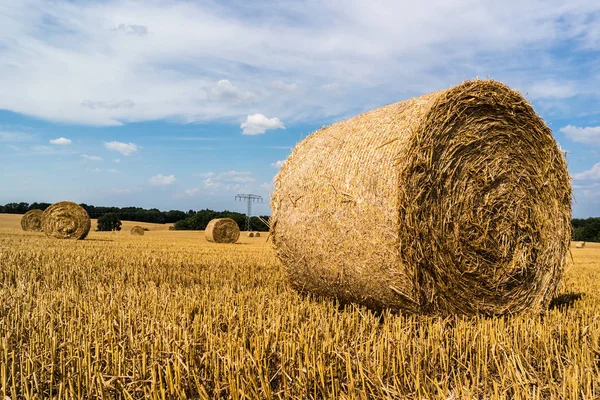 Colheita de palha no campo — Fotografia de Stock