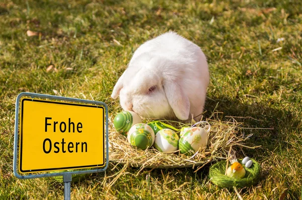 Duitsland "Frohe Ostern" paashaas — Stockfoto