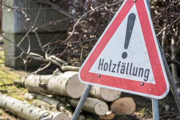 Tyska Uppmärksamhet trä nederbörd på våren — Stockfoto