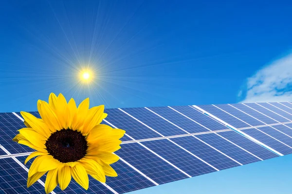 Solpanelenergi med solros — Stockfoto